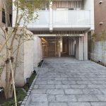 Bauhinia AKASAKA